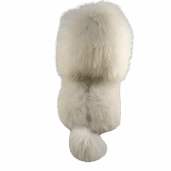 14-4.png PELUCHE DE LEÓN 3