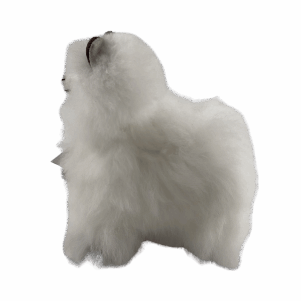 24-1-1.png KILLA PEQUEÑA 2