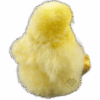 3.png Pollito Amarillo de Baby Alpaca