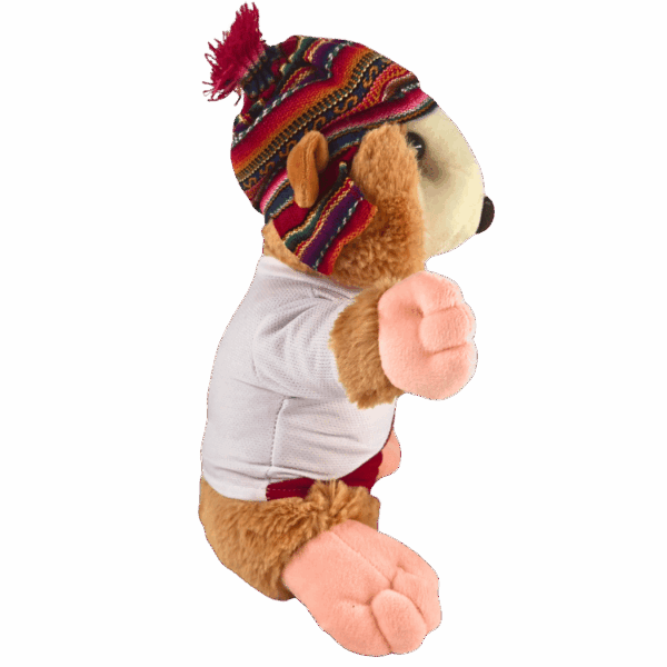 3-20.png PELUCHE DE CUY 3