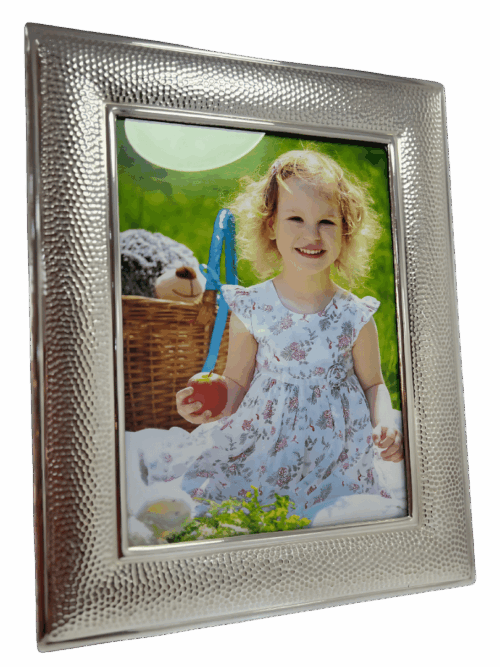 MARCO DE PLATA ESCAMA