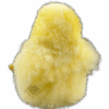 4-4.png Pollito Amarillo de Baby Alpaca