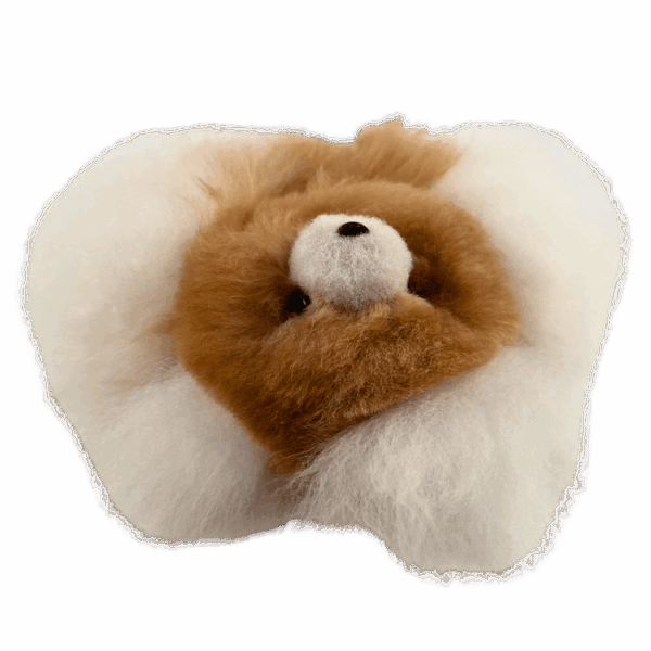 5-11.png OSITO BABY ALPACA 2