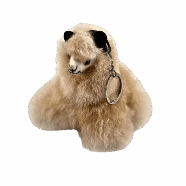 LLAVERO DE LLAMITA 2