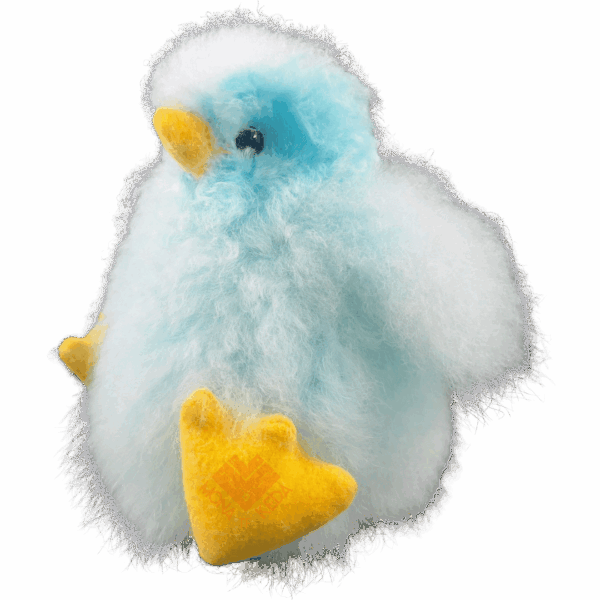 5.png Pollito de Baby Alpaca