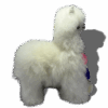 LLAMA BABY ALPACA