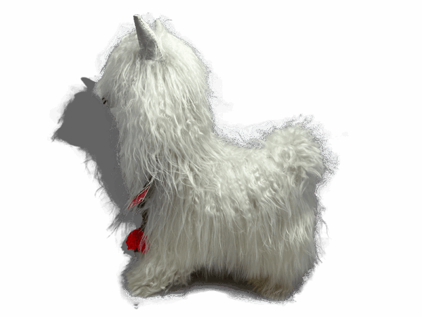 LLAMA SURI BLANCA