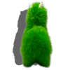 LLAMA VERDE